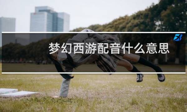 梦幻西游配音什么意思