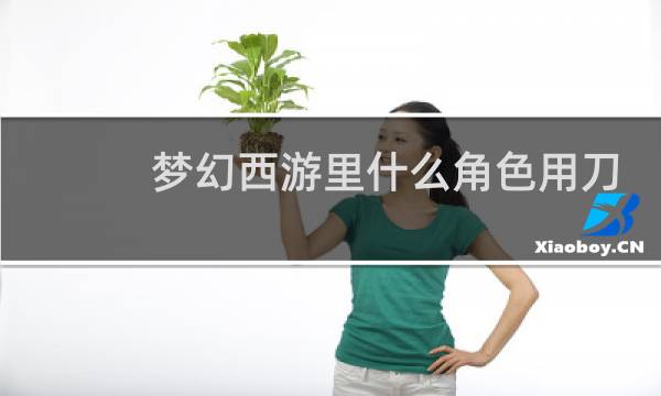 梦幻西游里什么角色用刀