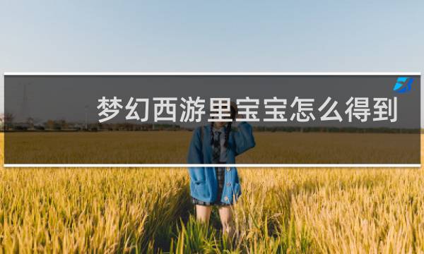梦幻西游里宝宝怎么得到