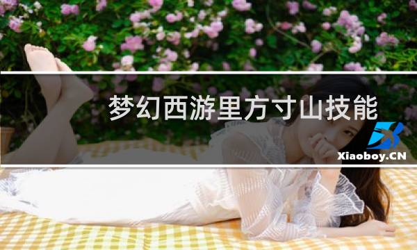 梦幻西游里方寸山技能