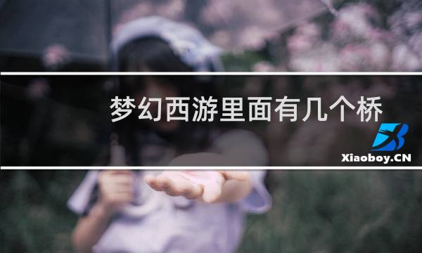 梦幻西游里面有几个桥