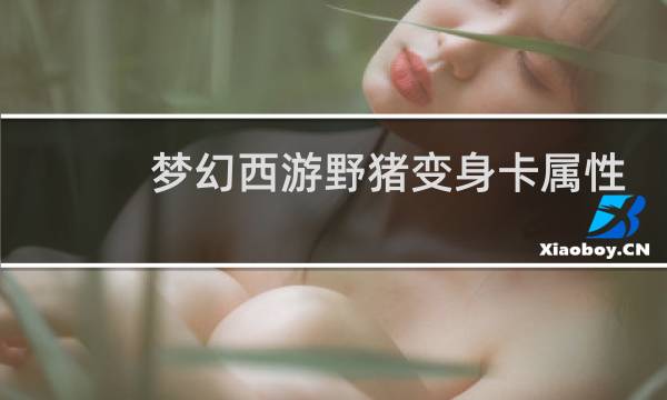 梦幻西游野猪变身卡属性