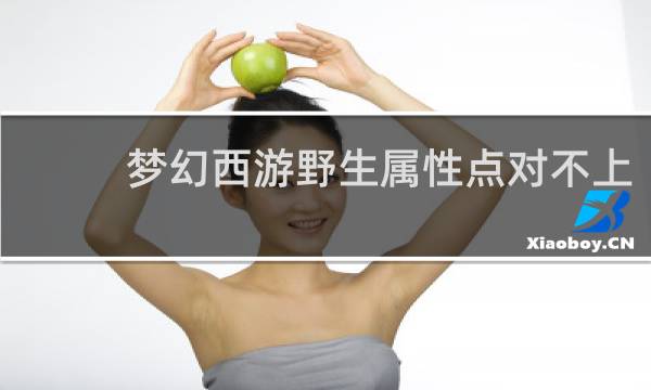 梦幻西游野生属性点对不上