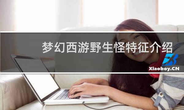梦幻西游野生怪特征介绍