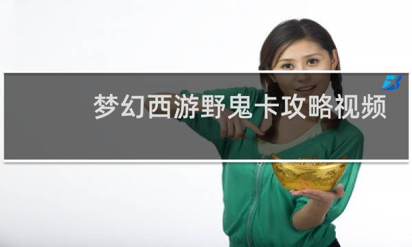 梦幻西游野鬼卡攻略视频