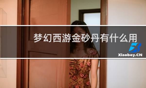 梦幻西游金砂丹有什么用