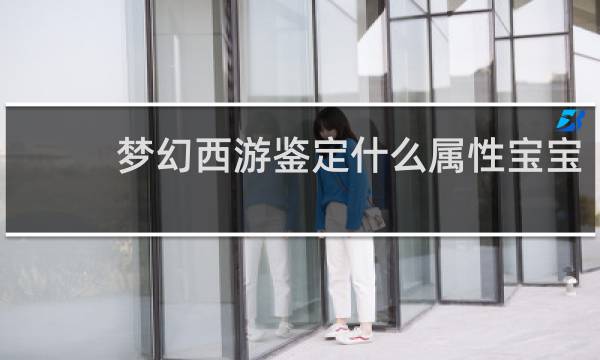 梦幻西游鉴定什么属性宝宝