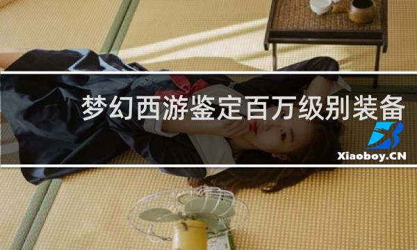 梦幻西游鉴定百万级别装备