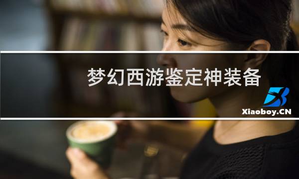 梦幻西游鉴定神装备