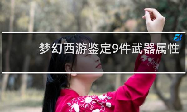 梦幻西游鉴定9件武器属性