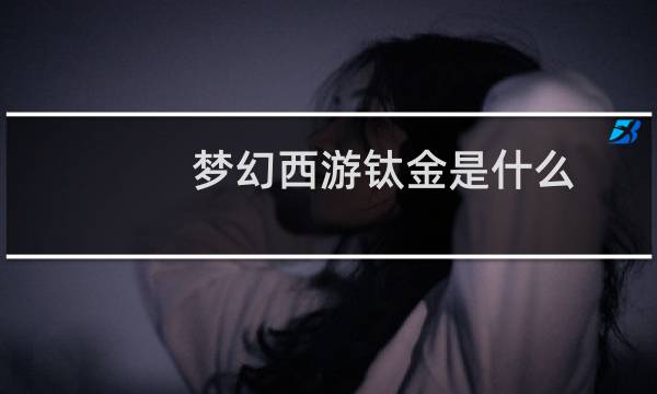 夢幻西游鈦金是什么