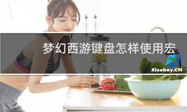梦幻西游键盘怎样使用宏