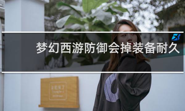 梦幻西游防御会掉装备耐久