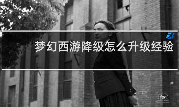 梦幻西游降级怎么升级经验