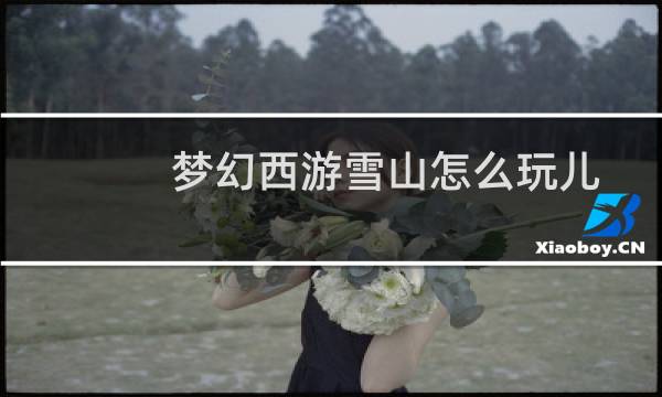 梦幻西游雪山怎么玩儿