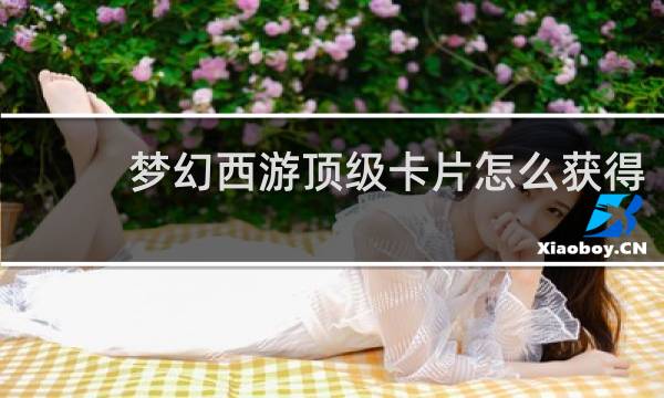 梦幻西游顶级卡片怎么获得