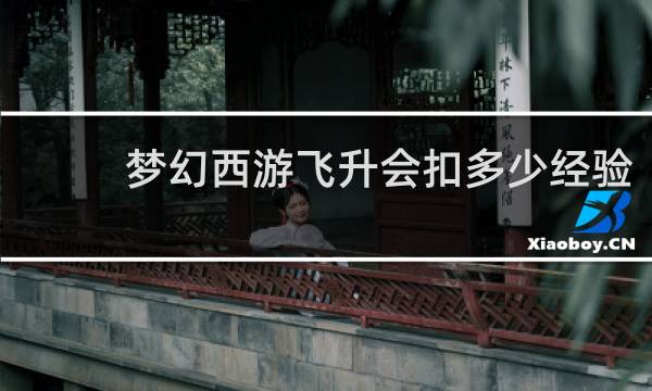 梦幻西游飞升会扣多少经验