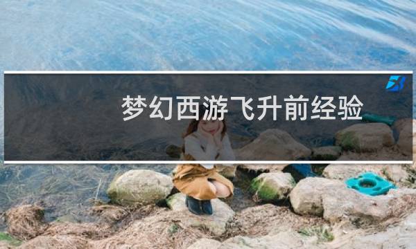 梦幻西游飞升前经验