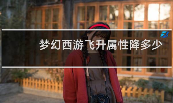 梦幻西游飞升属性降多少