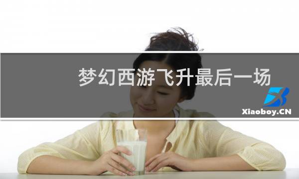 梦幻西游飞升最后一场