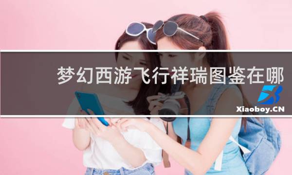 梦幻西游飞行祥瑞图鉴在哪
