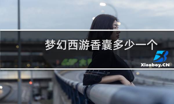 梦幻西游香囊多少一个