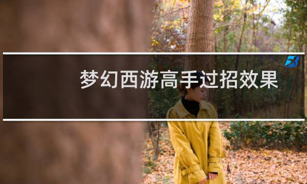 梦幻西游高手过招效果