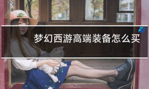梦幻西游高端装备怎么买
