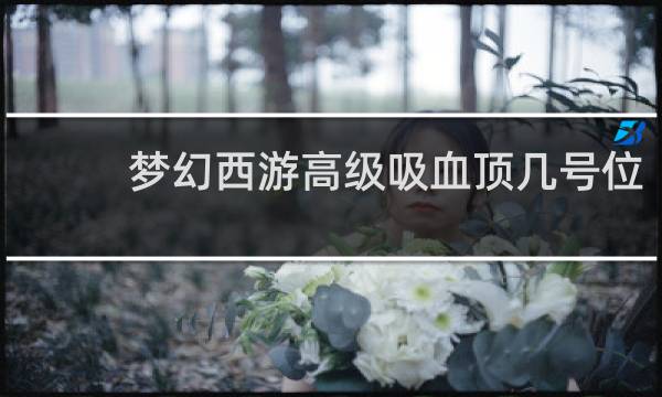 梦幻西游高级吸血顶几号位