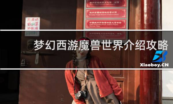 梦幻西游魔兽世界介绍攻略