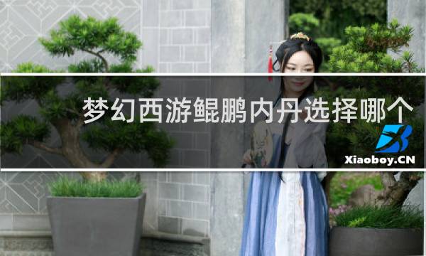 梦幻西游鲲鹏内丹选择哪个