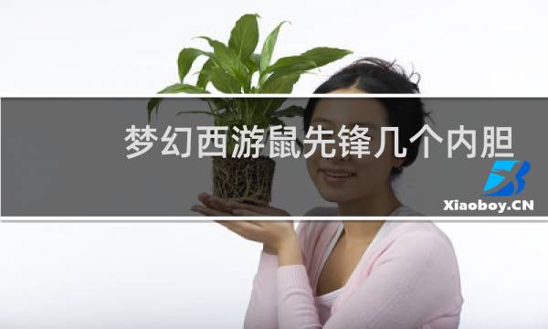 梦幻西游鼠先锋几个内胆