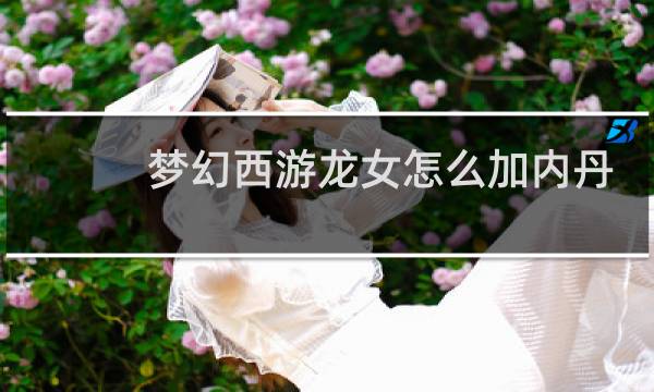 梦幻西游龙女怎么加内丹