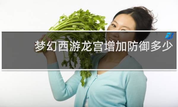 梦幻西游龙宫增加防御多少