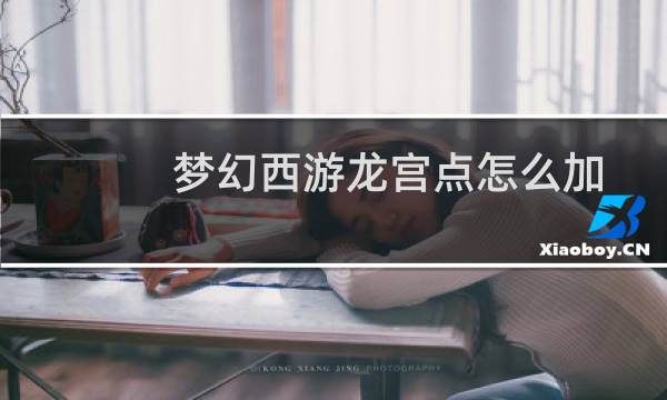 梦幻西游龙宫点怎么加