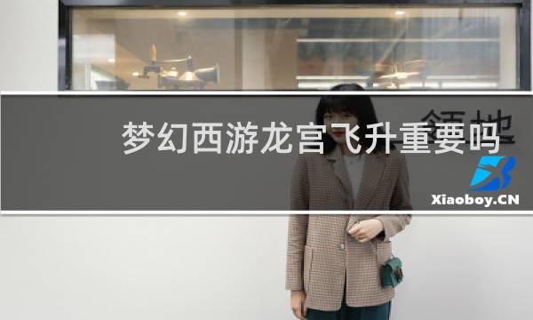 梦幻西游龙宫飞升重要吗