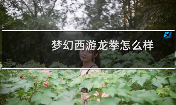 梦幻西游龙拳怎么样