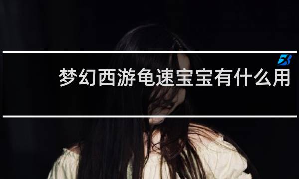 梦幻西游龟速宝宝有什么用