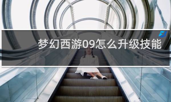 梦幻西游09怎么升级技能