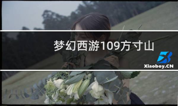 梦幻西游109方寸山