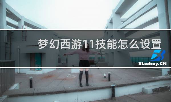 梦幻西游11技能怎么设置