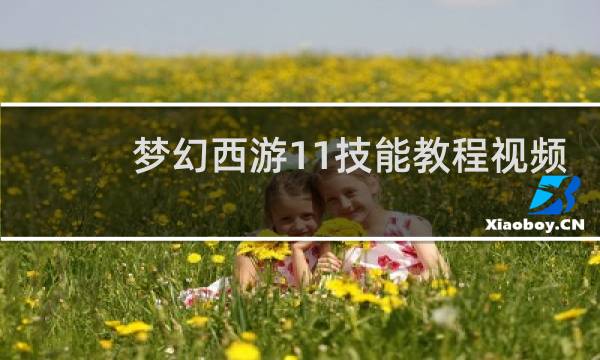 梦幻西游11技能教程视频