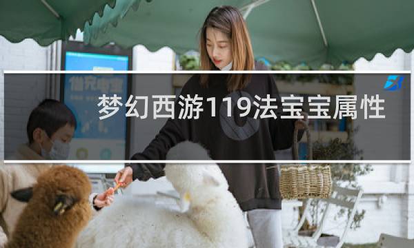 梦幻西游119法宝宝属性