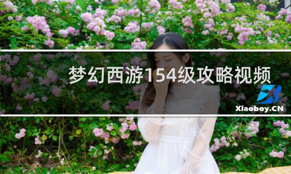 梦幻西游154级攻略视频