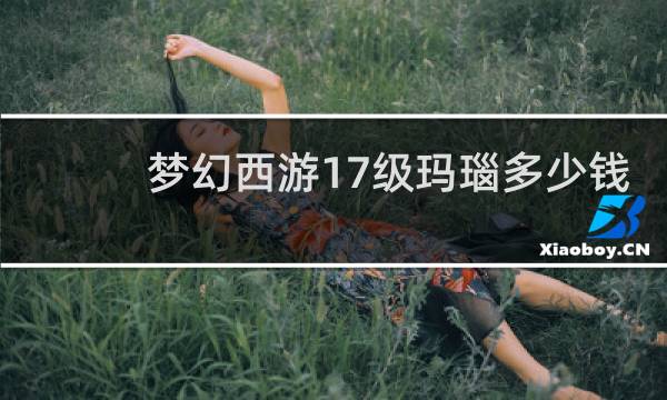 梦幻西游17级玛瑙多少钱