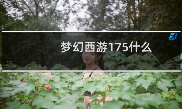 梦幻西游175什么