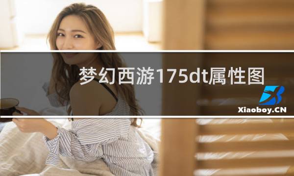 梦幻西游175dt属性图