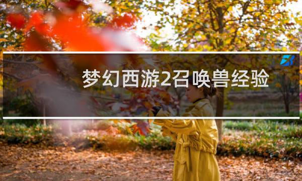 梦幻西游2召唤兽经验