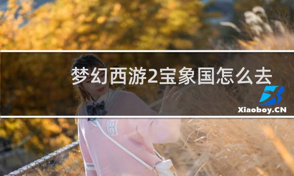 梦幻西游2宝象国怎么去