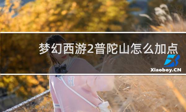 梦幻西游2普陀山怎么加点